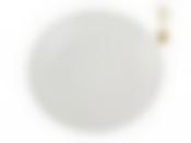 Тарелка столовая глубокая Blossom, D=23 см