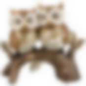 ФИГУРКА "СОВЫ" 18,5*7*17 СМ. КОЛЛЕКЦИЯ ЧАРРУА (КОР=18ШТ.)