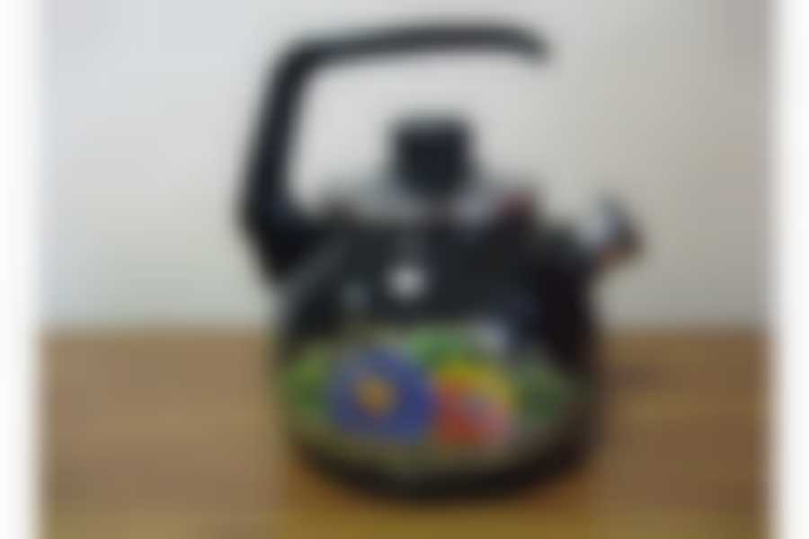 Чайник 3,0л со свистком Вологда