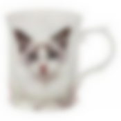 Кружка "ПИТОМЦЫ" 420 мл