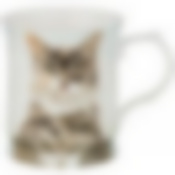 Кружка "ПИТОМЦЫ" 420 мл