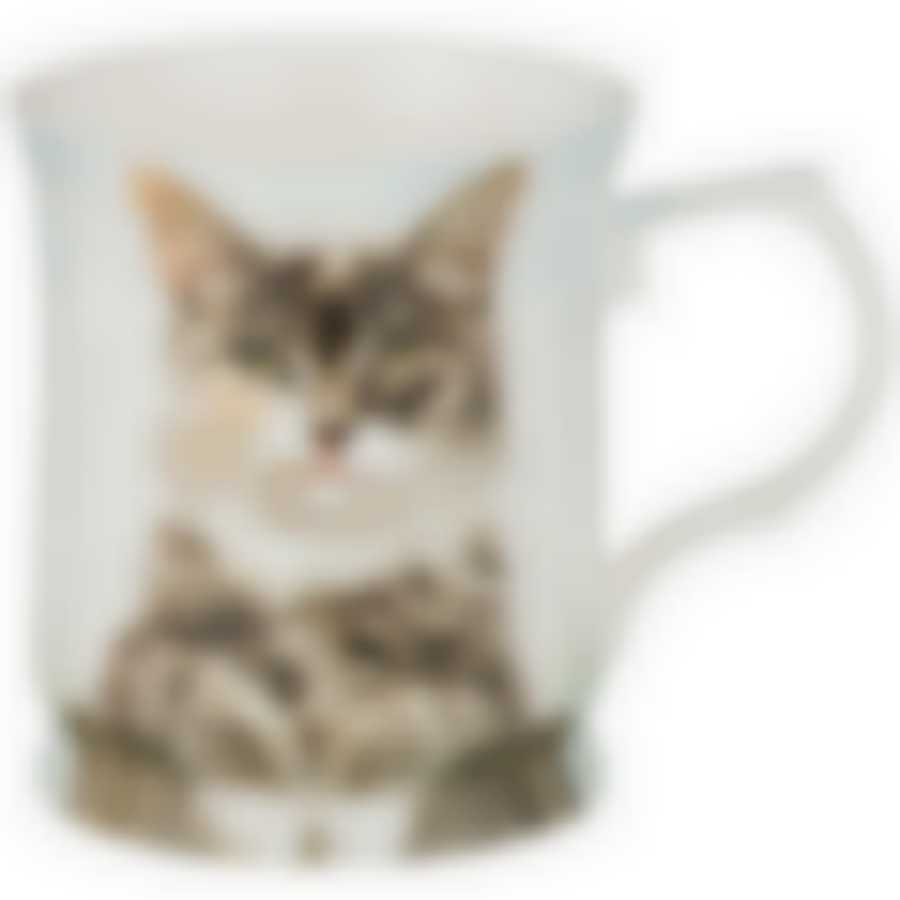 Кружка "ПИТОМЦЫ" 420 мл