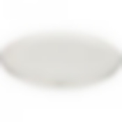 Тарелка обеденная "PLATINUM" 25,5 см