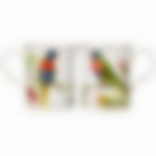 КРУЖКА "РАДУЖНЫЙ ЛОРИ" 420 МЛ