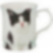 КРУЖКА "ПИТОМЦЫ" 420МЛ