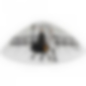 БЛЮДО ТРЕУГОЛЬНОЕ "FASHION QUEEN" 24=13 СМ