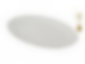 Блюдо овальное Lefard Blossom, длина 25 см