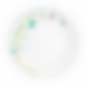 Тарелка столовая мелкая Luminarc Colombelle, D=25 см