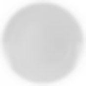 Тарелка обеденная АЛЕКСИ 25см