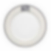 Тарелка столовая мелкая Fioretta Dynasty, D=27 см