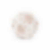 Тарелка закусочная (десертная) Fioretta Country Charm, D=19 см