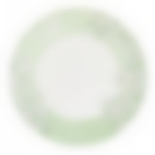 Тарелка столовая мелкая Luminarc Minelli Green, D=25 см