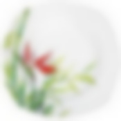 Тарелка столовая глубокая Domenik Bamboo, D=23 см