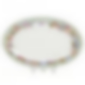 Блюдо овальное Domenik Crown Of Flowers, D=26 см