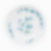 Тарелка десертная вероника 19см