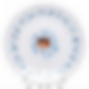 Тарелка столовая мелкая Arcopal Sirin, D=25 см