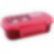 Ланчбокс HOMIO 740мл