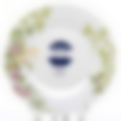 Тарелка столовая мелкая Luminarc Latone, D=28 см