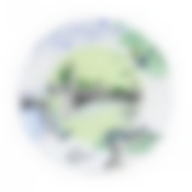 Тарелка столовая мелкая Luminarc City Of Paris, D=25 см