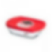 Блюдо прямоугольное с крышкой o cuisine 23x15x6.5см 1.1л