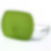 Блюдо прямоугольное с крышкой cook&store 28х20x8см (аналог 216P000/5045)