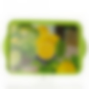 Поднос "Витамины" (цвет в ассортименте)