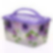 Контейнер прямоугольный "Георгины", 15 л