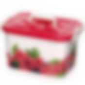 КОНТЕЙНЕР для хранения "Малина" 6,5л