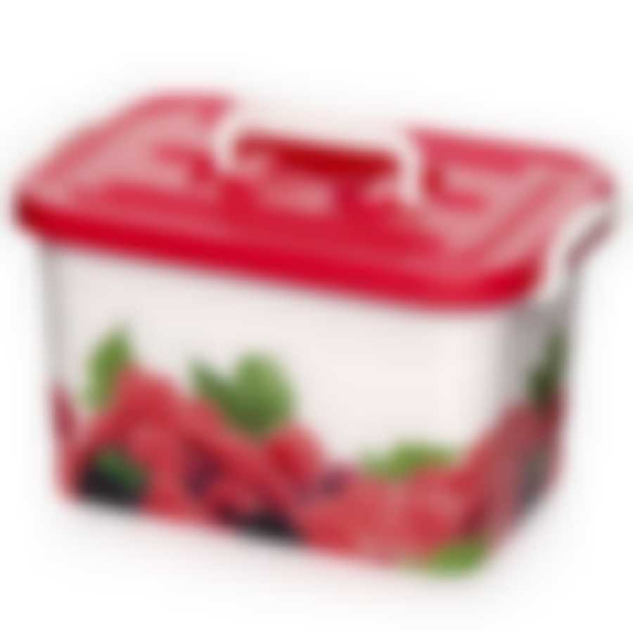 КОНТЕЙНЕР для хранения "Малина" 6,5л