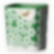 Горшок-кашпо "Дольче Вита" 2л с под.(зел-бел)