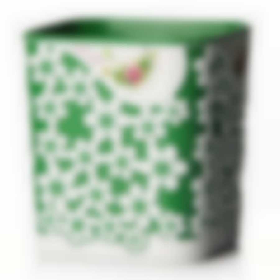 Горшок-кашпо "Дольче Вита" 2л с под.(зел-бел)