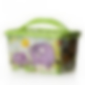 Контейнер прямоугольный Чудо-остров 7 л. (цвет в ассортименте)