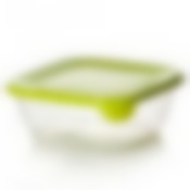Емкость для продуктов Практик 0,8 л (салатовый)