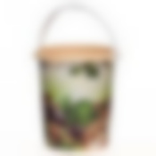 Ведро "Грибы" 5л без крышки (цвет в ассортименте)