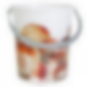 Ведро 11л без крышки "Грибы" (цвет в ассортименте)