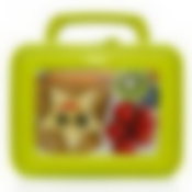 Контейнер для обеда с ручкой (салатовый)