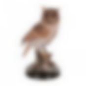 ФИГУРКА "СОВА" ВЫСОТА=22 СМ. (КОР=18ШТ.)