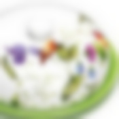 26616 Блюдо д/блинов 23,8х11см Птичка