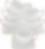 Чайный набор на 6 персон Loraine Нежность, 220 мл