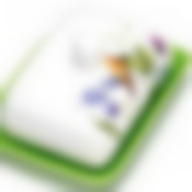 26601 Маслёнка с крышкой Птичка