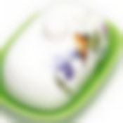 26602 Маслёнка с крышкой Птичка