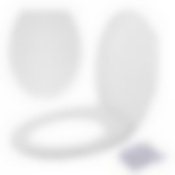 Сиденье для унитаза с крышкой (белый цв.)