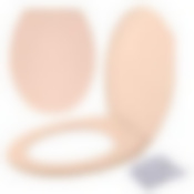 Сиденье для унитаза с крышкой (бежевый цв.)