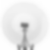 Тарелка столовая мелкая Симпатия, D=25 см