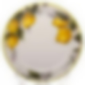 Тарелка столовая мелкая Luminarc Lemons, D=25см