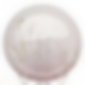 Тарелка столовая мелкая Luminarc Trompette, D=26 см