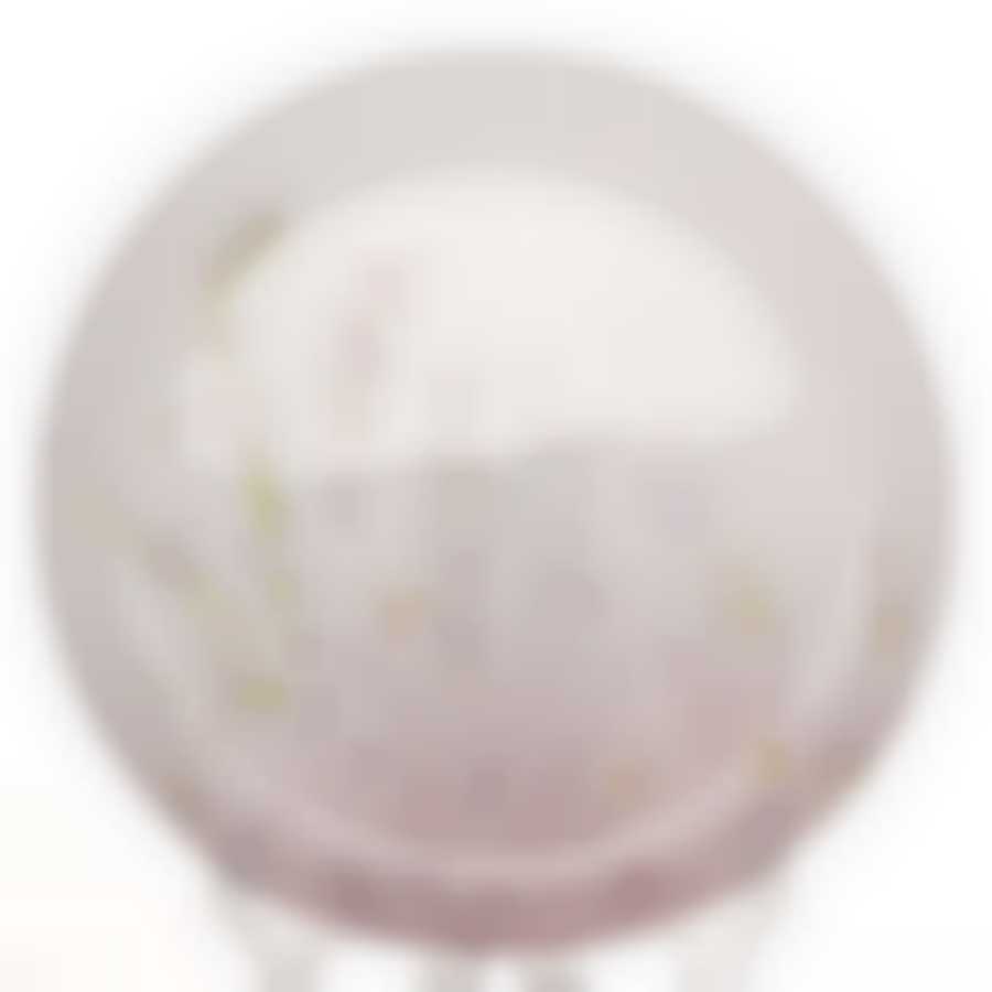 Тарелка столовая мелкая Luminarc Trompette, D=26 см