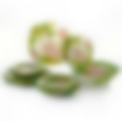 Столовый набор на 6 персон Luminarc Carine Freesia с салатником, 19 предметов