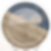 Тарелка столовая мелкая Luiminarc Nordic Hevea, D=26 см