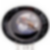 Блюдо овальное Luminarc Friends Time Saloon, 30х25,5 см